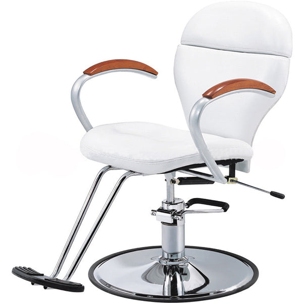 Salon Furniture Hairdressing Equipment Styling Barber Chair
