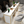 Load image into Gallery viewer, Modern Nail Salon Furniture Nail Desk Manicure Table and Chair Set